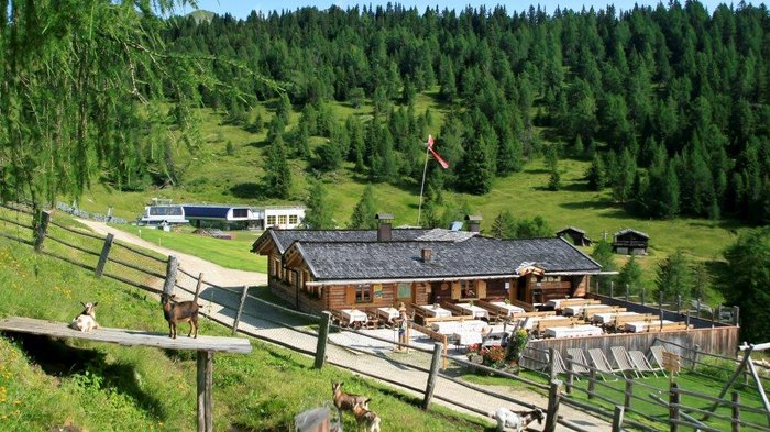 Discover the Alpine huts in Meransen, Vals & Co. The picture shows an idyllic wooden mountain hut in the middle of a green, hilly landscape with a terrace full of tables, surrounded by a wooden fence with a few goats standing against it, under a clear blue sky.