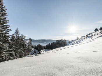 Discover Terenten, in the Pustertal valley Discover Terenten, in the Pustertal valley